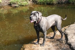 markiboy1985's profile picture. 