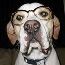 Bruce Parker - @SirBruceParker - Twitter