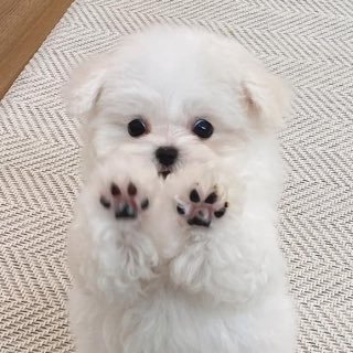 doong2_bh's profile picture. 모든 빛이 너만 비추고 나는 네게 눈이 멀었다