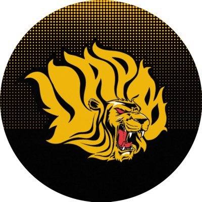 UAPBLionsBSB Profile Picture