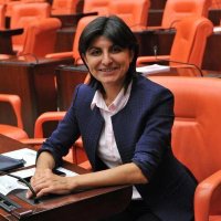 Dr.Sibel Özdemir(@dr_sozdemir) 's Twitter Profile Photo