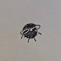 황현조 (@_zzzzzo_hwang) 's Twitter Profile