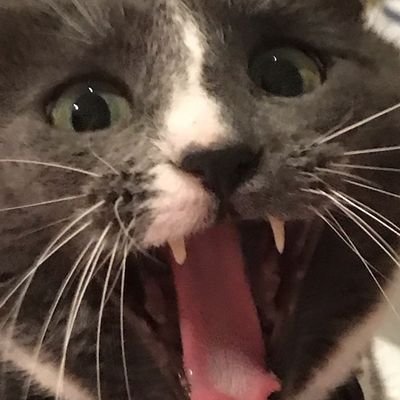 angele_mrtn19 Profile Picture