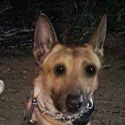 bipasspaywall's profile picture. 