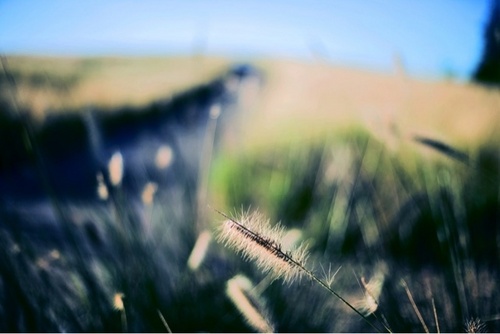 GusAlz's profile picture. 병아리 디벨로퍼/DS개발/세무법인우리/1DSMK2/KVB/UNSW/PORSCHE/