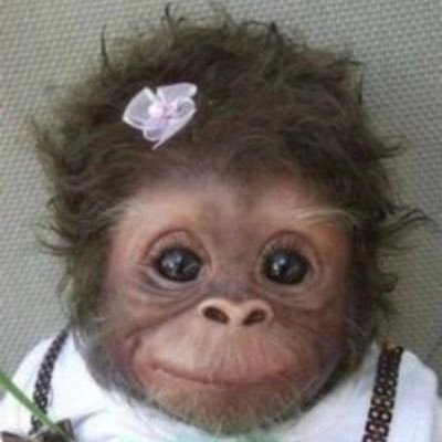 Ivanna_Lion's profile picture. 