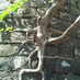 Anbumathi Palanisamy (@anbupals) Twitter profile photo