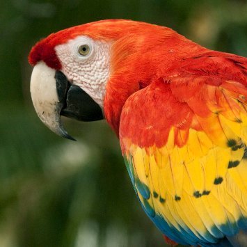 closetedartist's profile picture. 