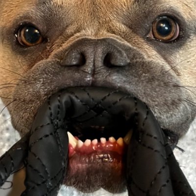 butsfore's profile picture. Ben Dare Dun That