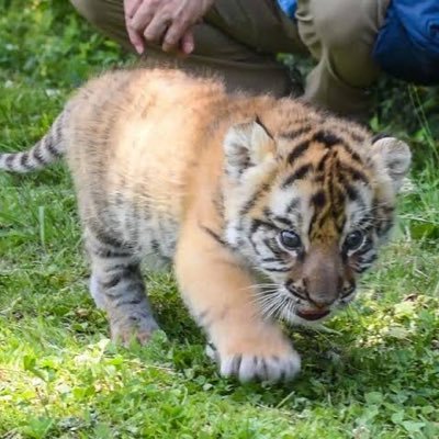 taku12250818's profile picture. 俺が最強