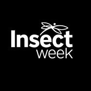 Insect Week (@insectweek) 's Twitter Profile