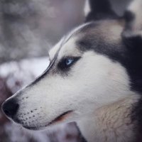 郷田 (@go_da08225184) 's Twitter Profile