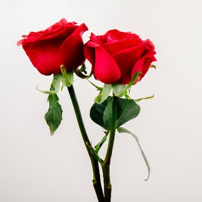 DonnaEla12's profile picture. 