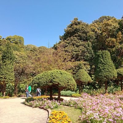 rlsh25's profile picture. อิอิ(⁠⊙⁠_⁠◎⁠)