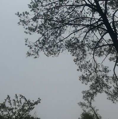 HasnatNimra's profile picture. Philosophy (GCU) 
History (QAU)