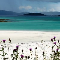 Ailsa (@ailsascot60) 's Twitter Profile