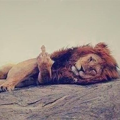 chartthinkers's profile picture. 