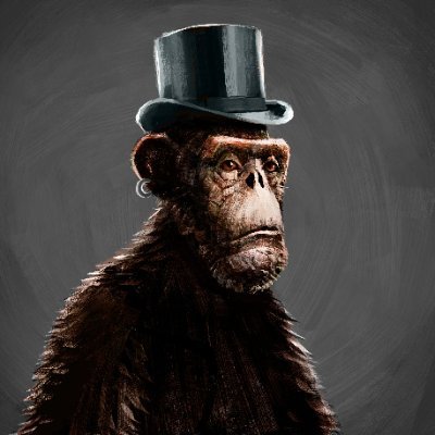 grazieb66's profile picture. Regenerative design.