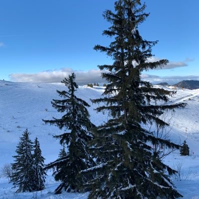 GUNDERMANNYves's profile picture. 