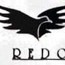 REDO (@redoorganizatio) 's Twitter Profile