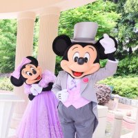 みけ (@mike13181202) 's Twitter Profile