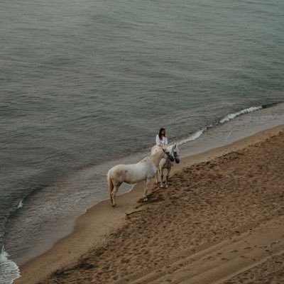 Dreqhz's profile picture. 