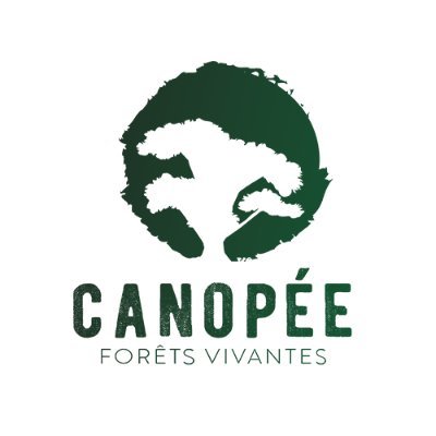 ONG oeuvrant pour la protection des forêts en France et ailleurs.
Site internet : https://t.co/xe6Vti1Hk7
Compte de secours.
#coupesrases #forêts #ONG