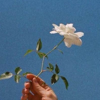 kirby_dreamstar's profile picture. 25
Robótica
Informática
#WomenTech