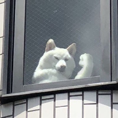 braver886's profile picture. 