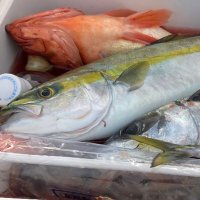 穴釣りマン (@ecn9c) 's Twitter Profile