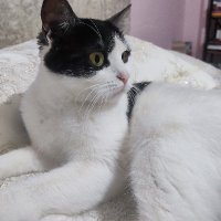 beyz (@sipsbyy) Twitter profile photo