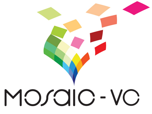 Mosaic VC is a socially responsible venture capital firm focusing on startup and early stage companies in the biotech, biomed and life sciences space.