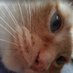 industrialpc (@industrialpc) Twitter profile photo industrialpc (@industrialpc) Twitter profile photo