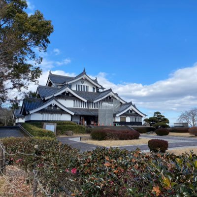 Intelista_ngtm's profile picture. 