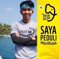 bukan wayan bali (@pradityalivia) 's Twitter Profile