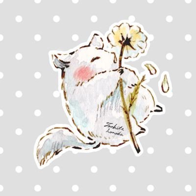 merukiさんのプロフィール画像