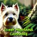 West Highland Cannabis (@whcannabisgrow) Twitter profile photo West Highland Cannabis (@whcannabisgrow) Twitter profile photo