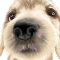 I S (@is72514145) 's Twitter Profile