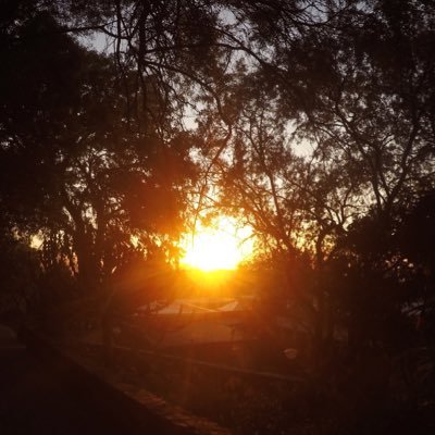 PabloNaranjoPe1's profile picture. ☕️ 🎾 🦊 café / coffee / tennis