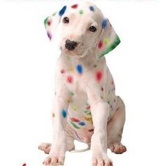 Speedpro Imaging North Indianapolis specializes in producing your extreme-resolution printed graphics. https://t.co/9wamelhDPB