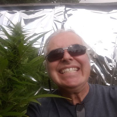 JustretweetPet1's profile picture. Just having some fun here. Hablo español.