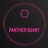 Panther Quant - #PoweredByPolygon profile pic