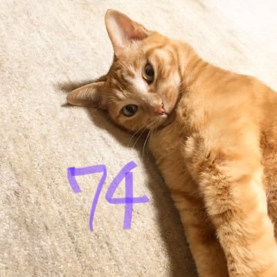 🦅母なる地球の愛に感謝の恩返しを🌏 🐈すべてのいのちに優しい世界を🌳 💖天瀬ひみかさん応援🌟 🦋無香&天然せっけん生活しましょう🧼 フォローのお返しに時間がかかる事があります🙇🏻♀️
