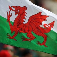 Dai 🏴 (@daib1) 's Twitter Profile