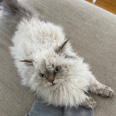 sos9287's profile picture. 