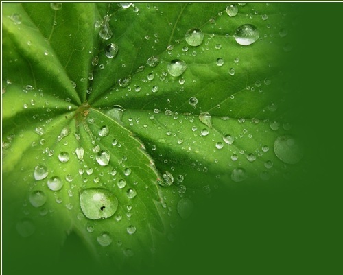 hydrotservs's profile picture. Generadores de Hidrógeno GHT. Ahorre hasta 30% de combustible, reduzca las emisiones contaminantes, optimice la potencia y vida útil de su motor.