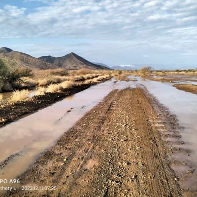 AvgoNovia's profile picture. Technology & Science