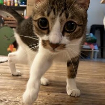 lyc45632813's profile picture. 