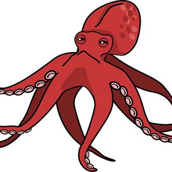 Octopus Tracker Price Updates