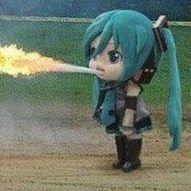 첼さんのプロフィール画像